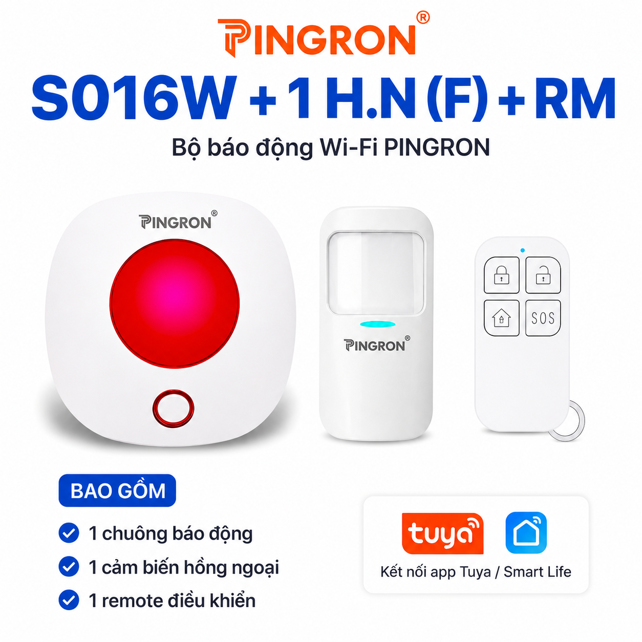 S016W + 1H.N (F) + RM